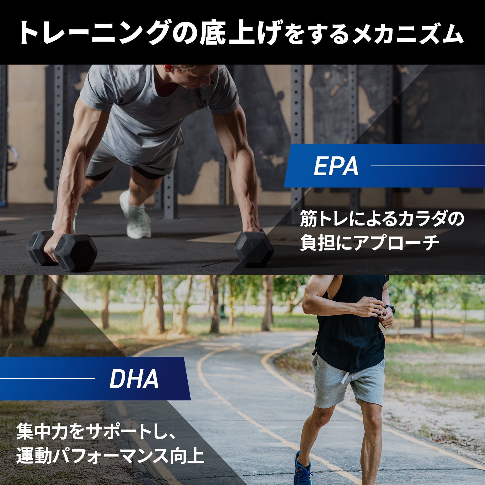 パワー×コンディションSET