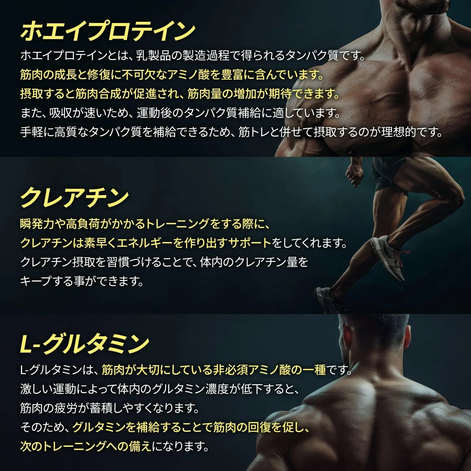 ホエイプロテインパウダー(1食分パック)セット