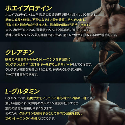 ホエイプロテインパウダー（1食分パック）セット